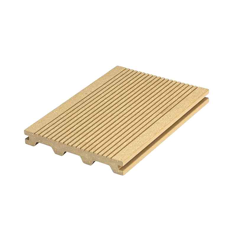 Buğday Sekoya Serisi.